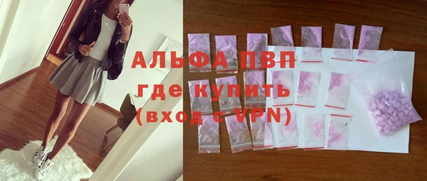 амф Бородино