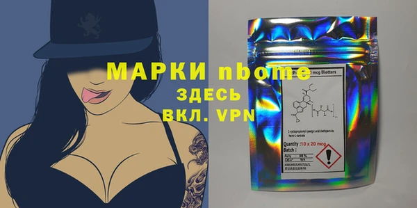 амф Бородино