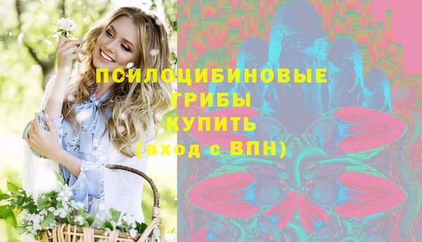 PSILOCYBIN Беломорск