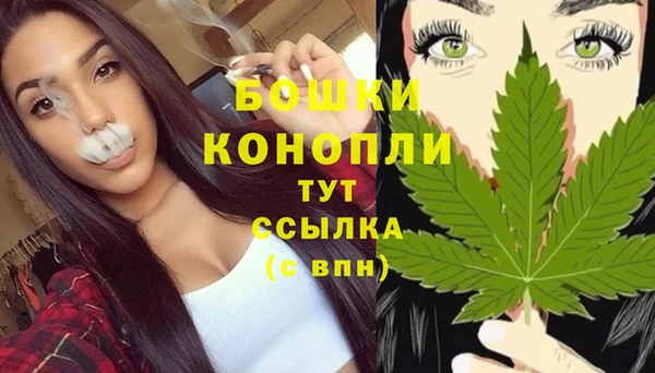 амф Бородино