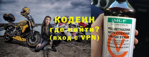 амф Бородино
