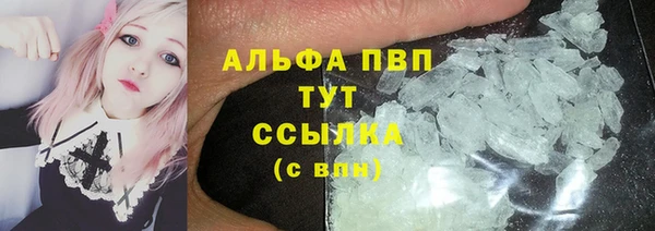 амф Бородино